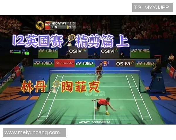 林丹与陶菲克巅峰对决高清回顾两位羽坛传奇的精彩瞬间与经典时刻